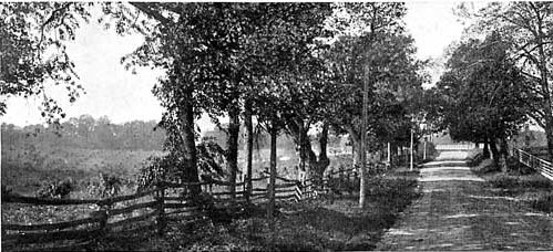 view of road to asharoken beach, northport ny