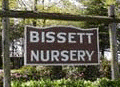 Long Island Nursery