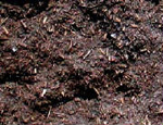 long island dark mulch