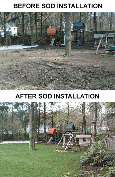 New Sod Lawn Dix Hills, New York 11746