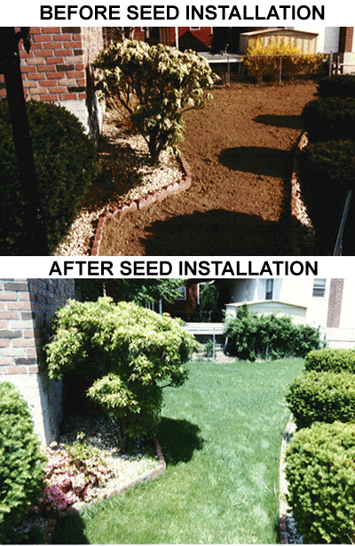 Newly Seeded Lawn on long island, in Dix Hills, New York