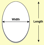 calculating square footage of oval landscape areas