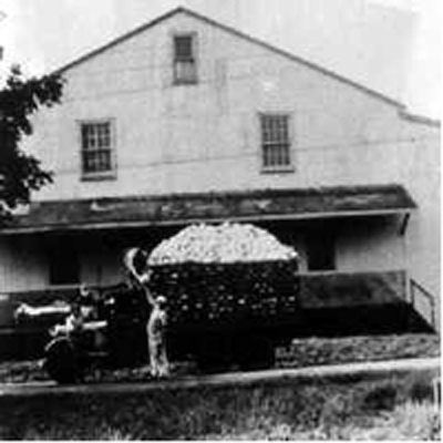 	Jennie T. Prianti Bongiorno - Born Brooklyn, New York, at 240 elwood road