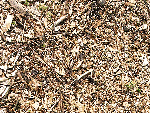 wood chips delivered suffolk and nassau Long Island, NY  